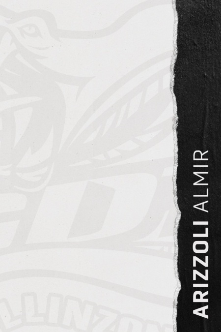 ArizzoliAlmir