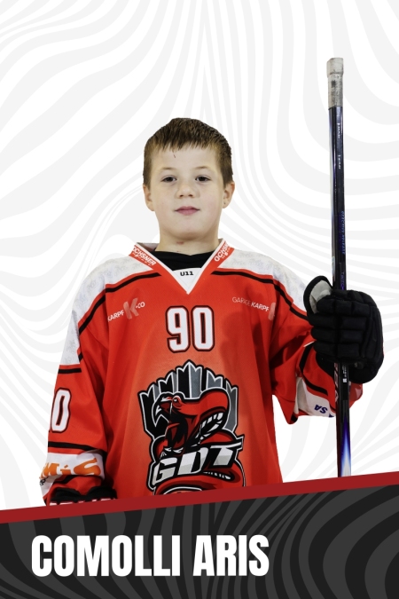 Comolli-Aris