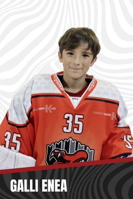 GALLI-ENEA-