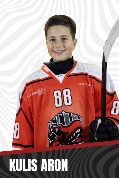 KULIS-ARON-copia