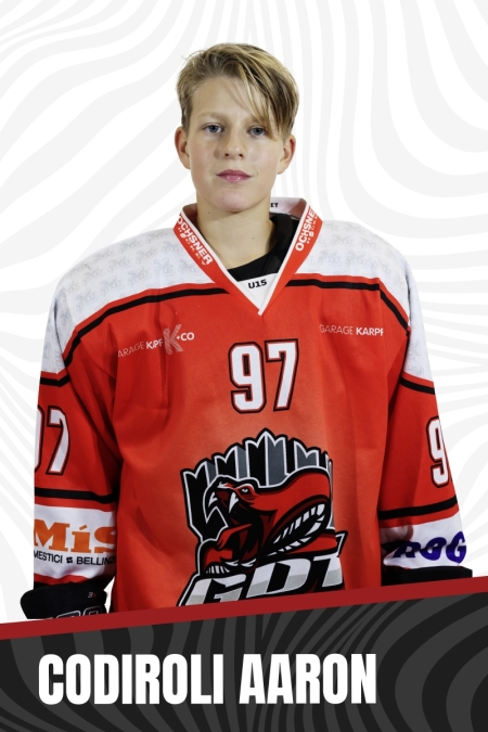 CODIROLI-AARON-copia