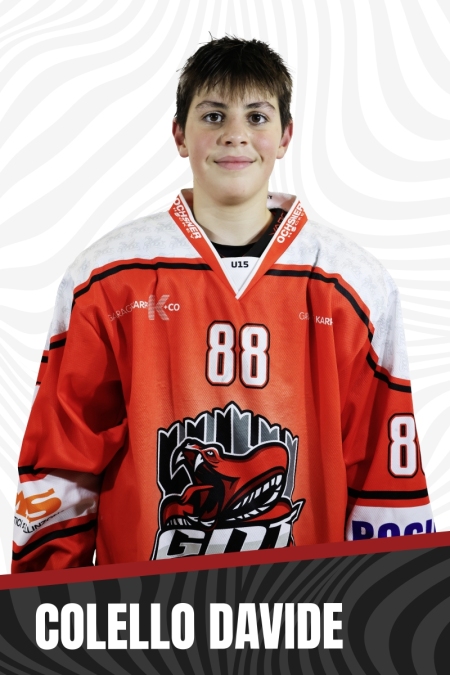 COLELLO-DAVIDE-copia