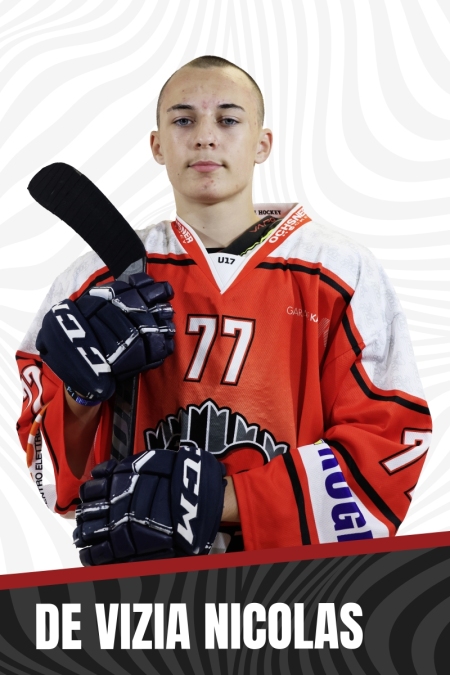 DE-VIZIA-NICOLAS-copia