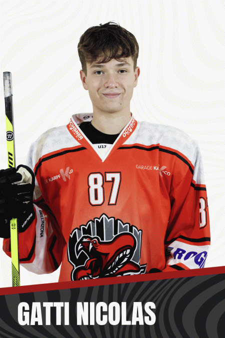 GATTI-NICOLAS