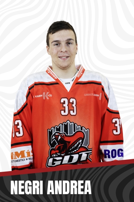 NEGRI-ANDREA