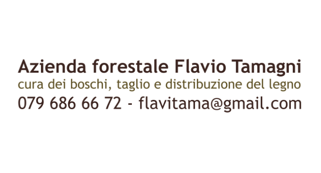 https://www.gdtbellinzona.ch/wp-content/uploads/2022/05/Tamagni.png